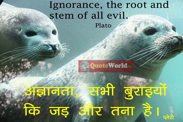 quotes by plato in hindi