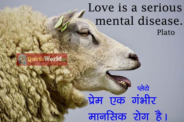 Plato Quotes in Hindi and English