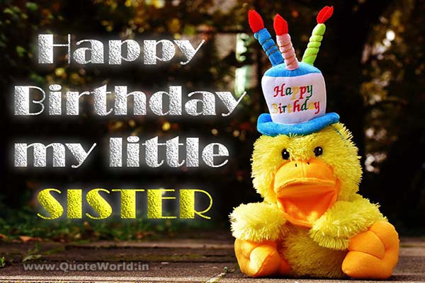 Best Birthday Wishes for SISTER (बहन) with pics |Quotes, SMS, Greetings